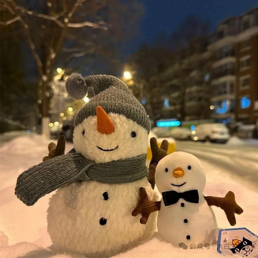 可惜我是双子座♊️