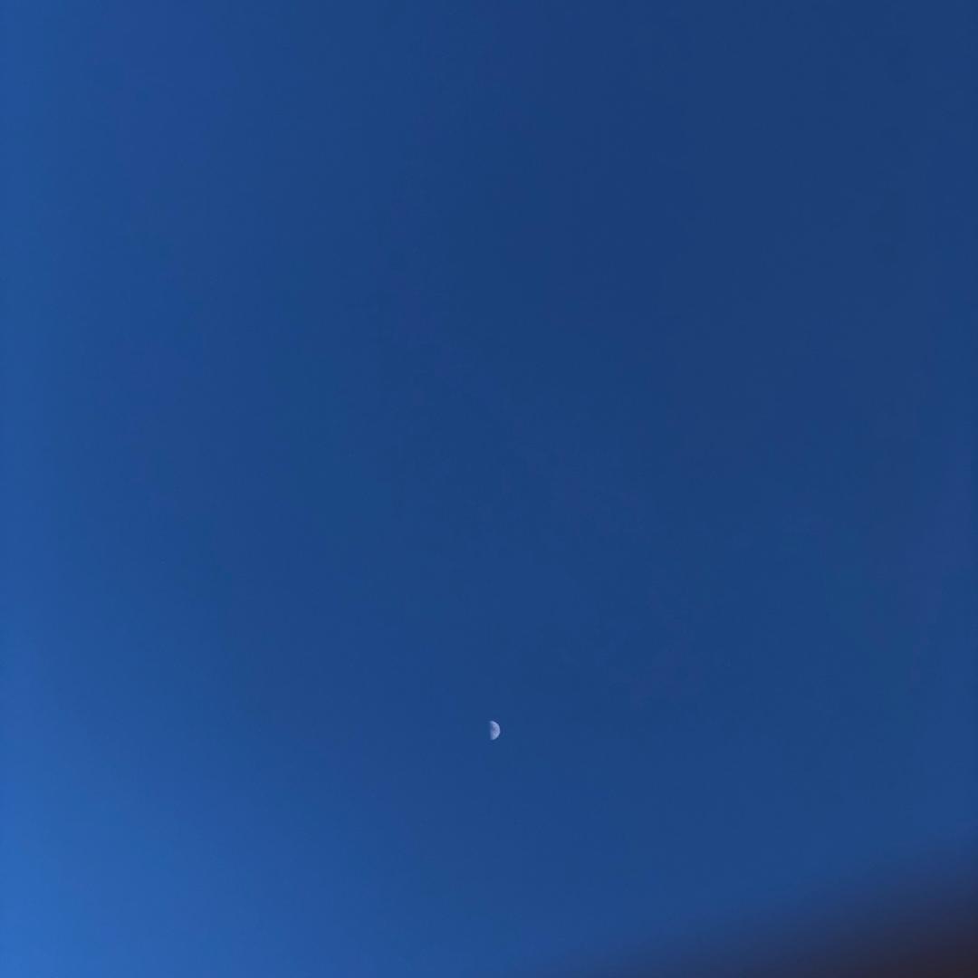 我不爱吃肉～🙂‍↔️