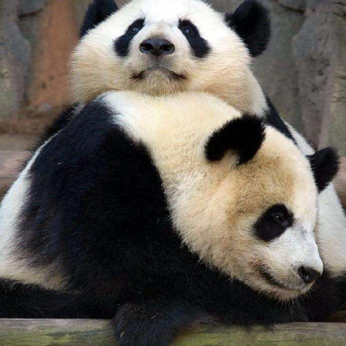 新大发电影网络@抖音