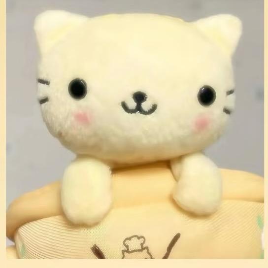 阿甜的小日子🔥