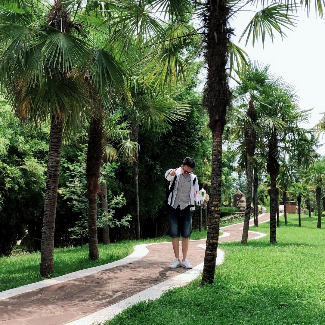 胖老师留学
