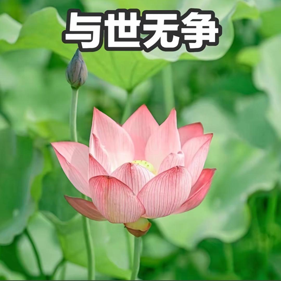 四季.🍃
