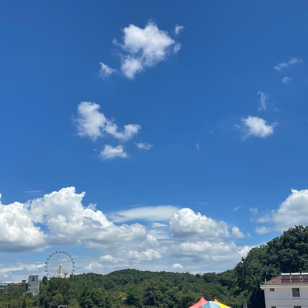 想发什么就发什么