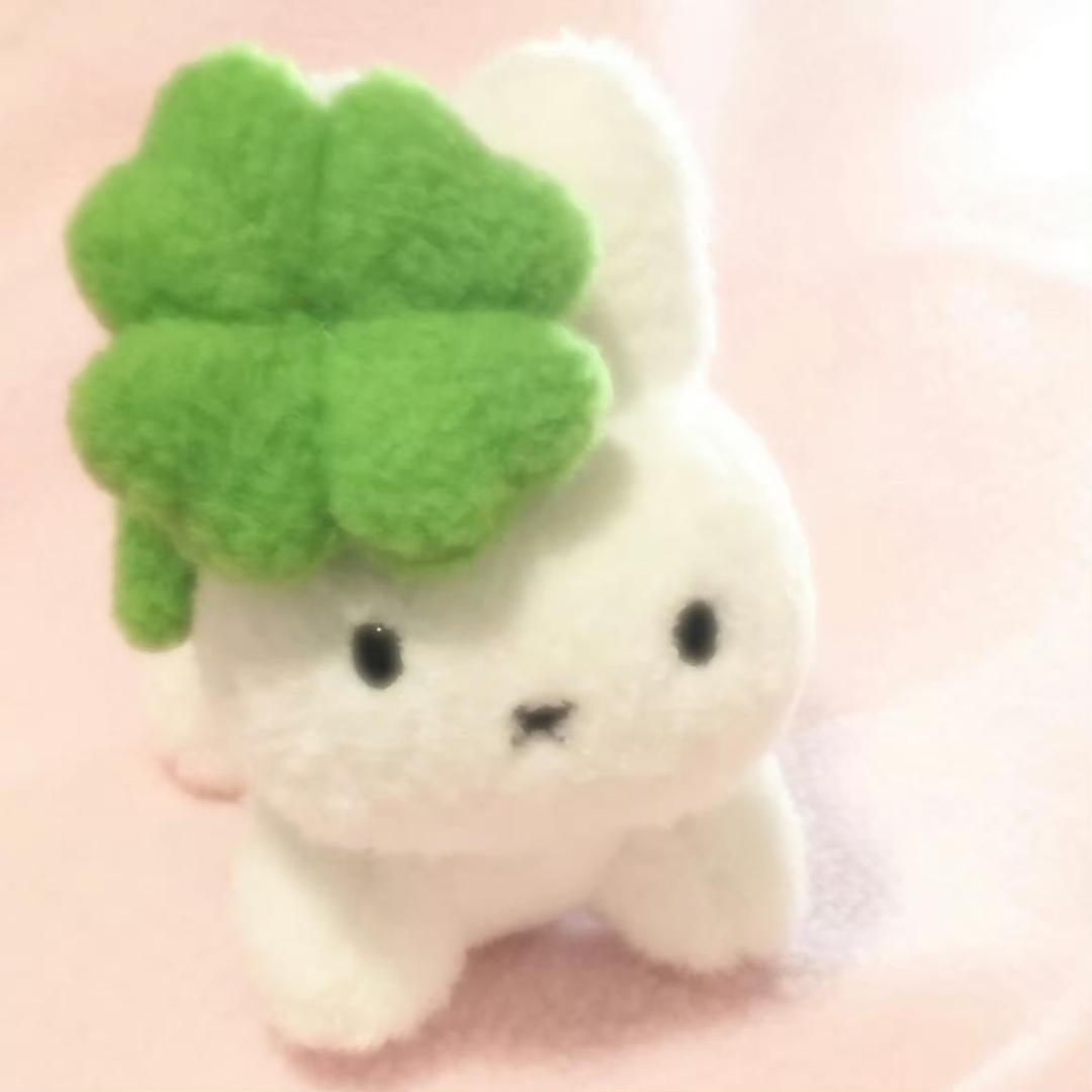 李子园不圆