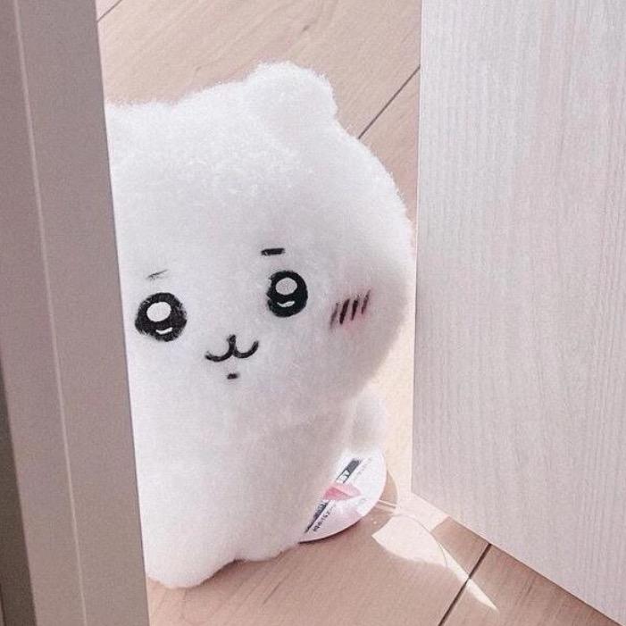 网友步步☁️