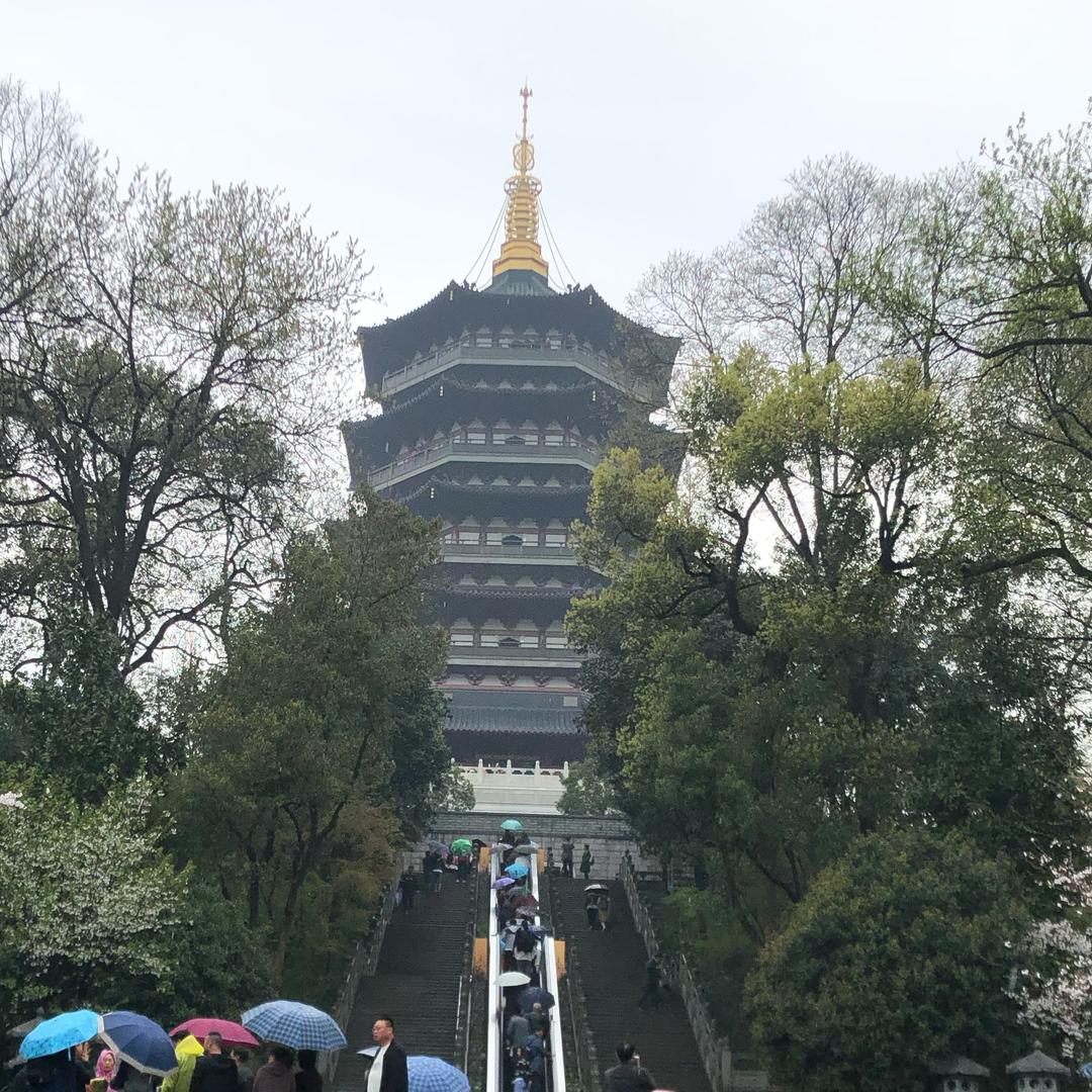 清风徐来拂人面