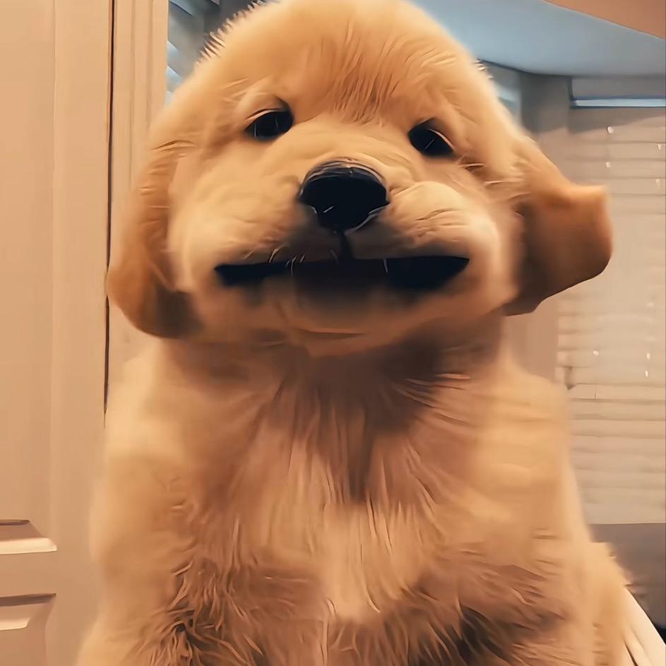 防.