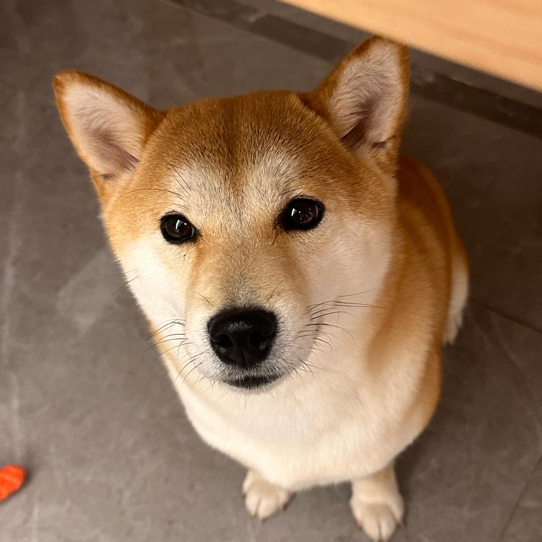艾琳这一家