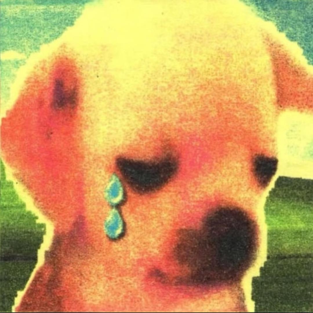 裿