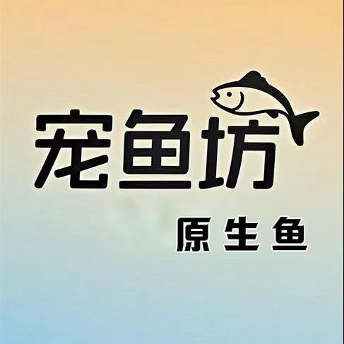 宠鱼坊