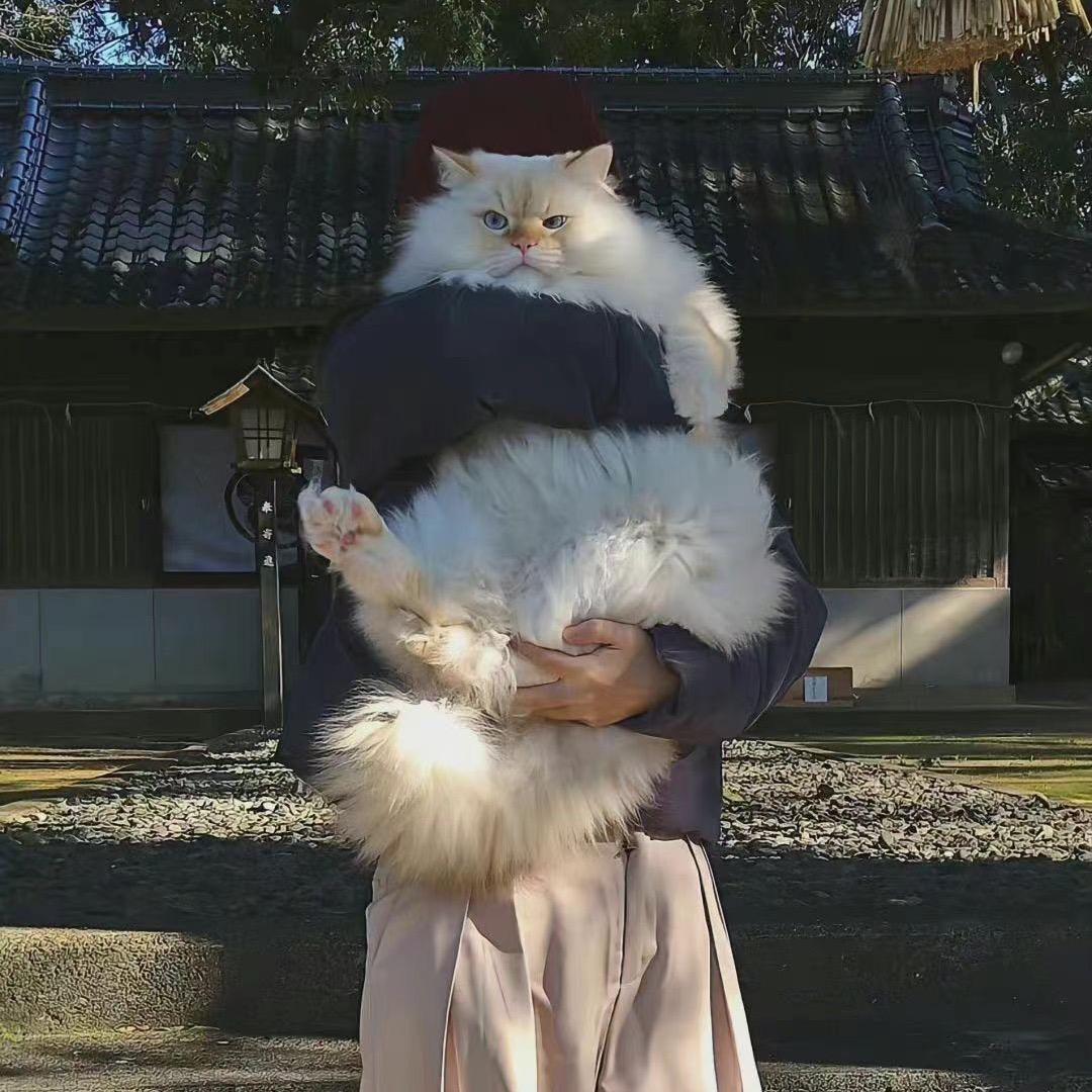 做个俗人.