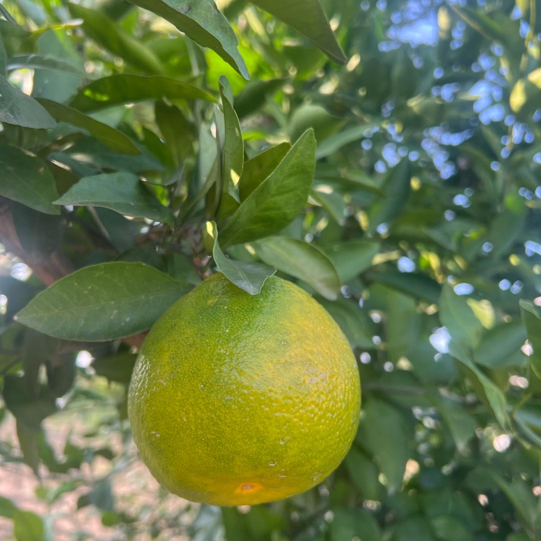 静静 (展迈建筑)