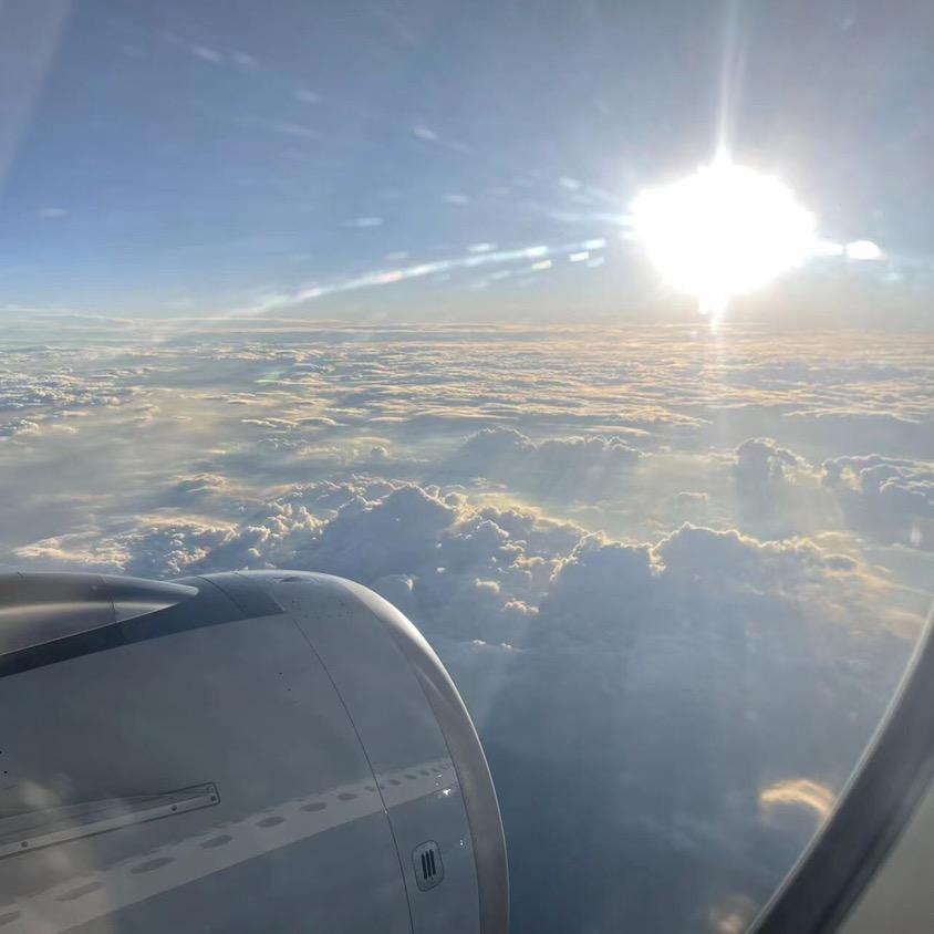 @二̶号̶角̶色̶♡̶