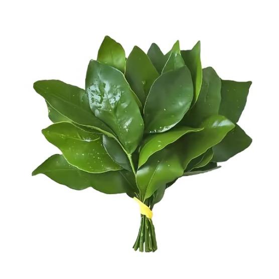 蛋挞
