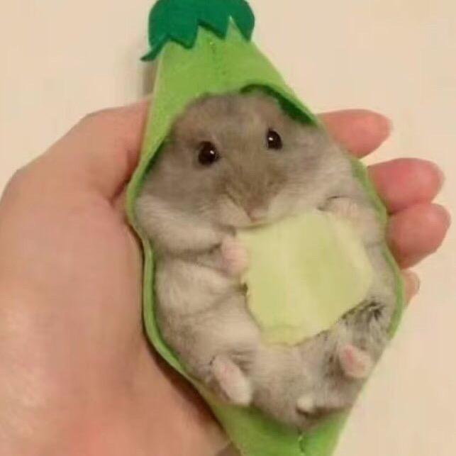 哈哈哈