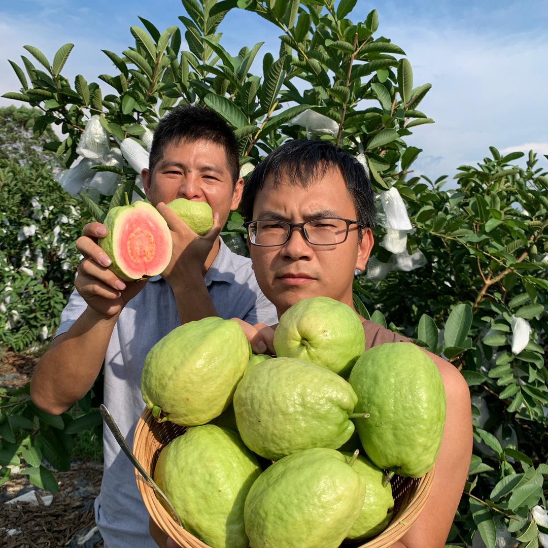 农家鲜生小荷夫