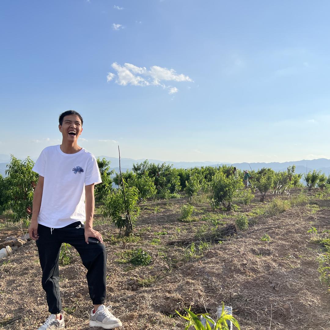 陕西果煌（陈鹏水果）