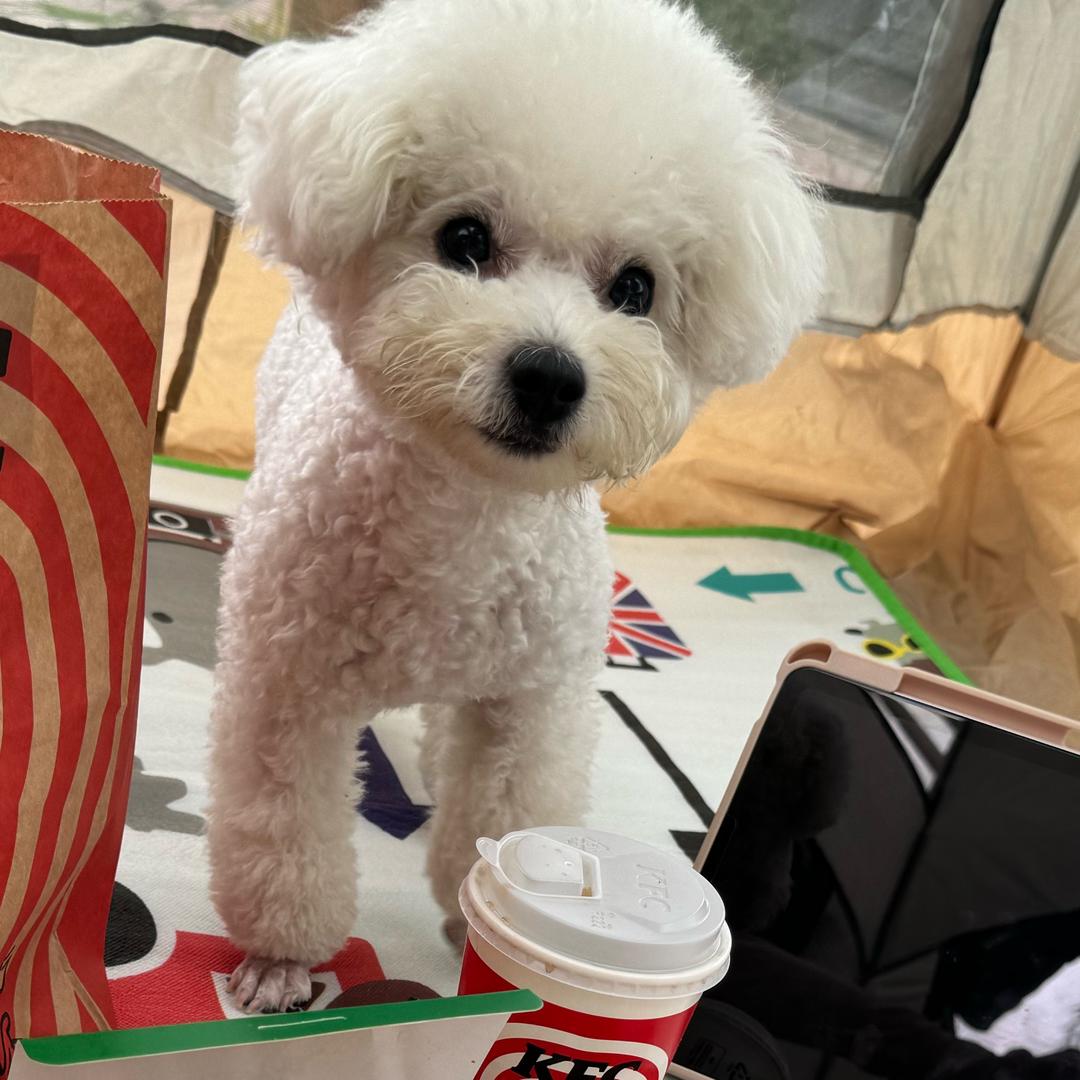 开心欧尼酱