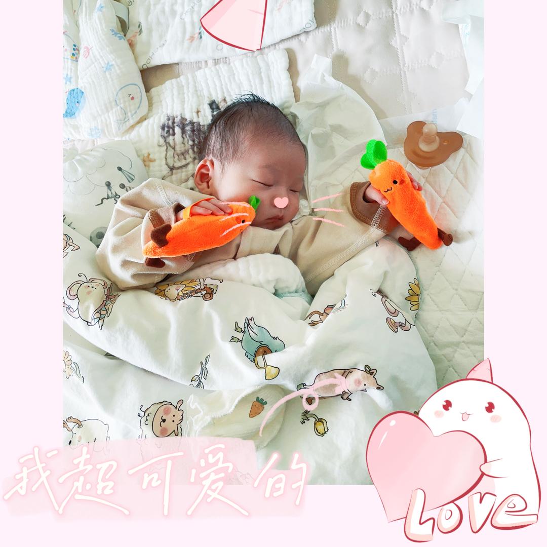 ππππ的圆周率