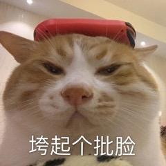不偷猪了
