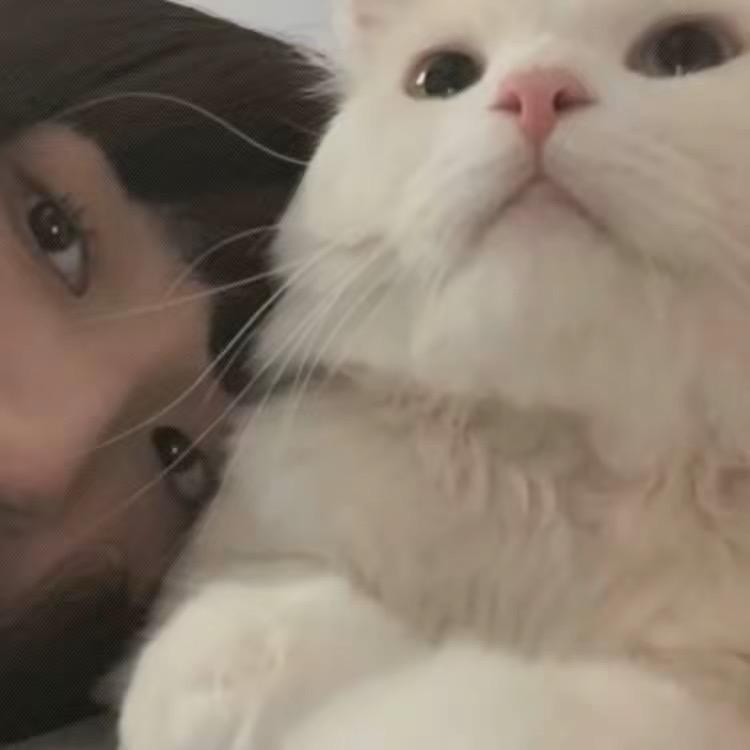 晚安了妮