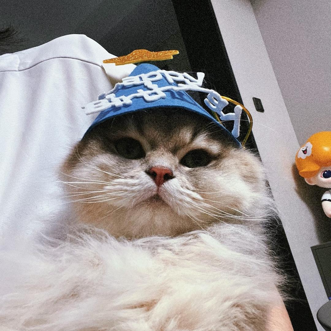 爱骑车的🍊教练