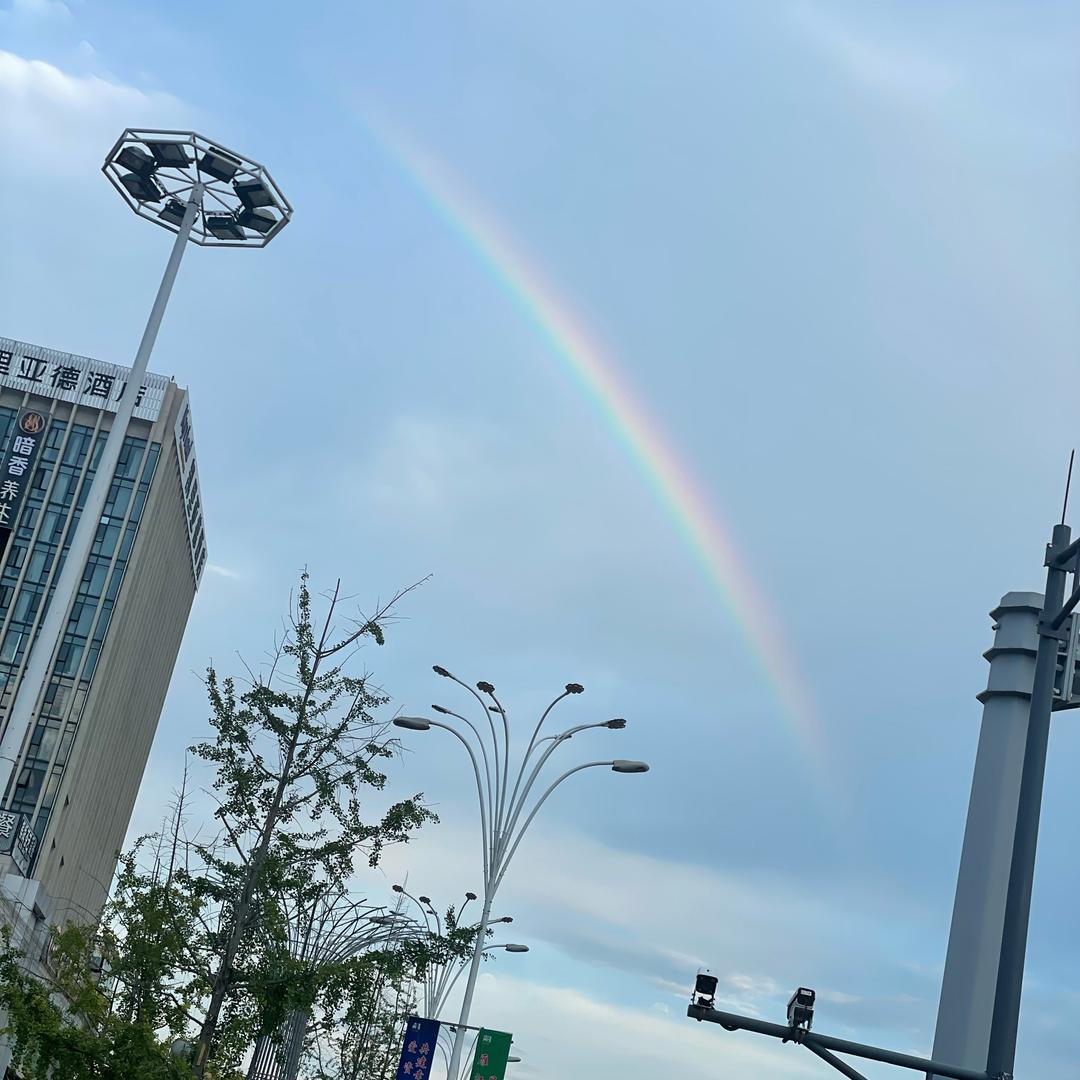 会飞小土狗