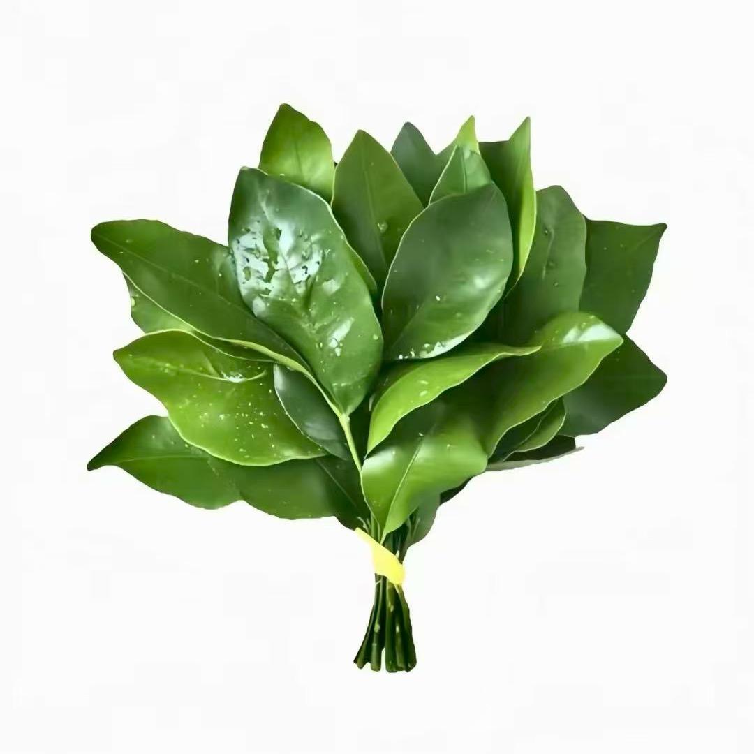 一克拉幸运