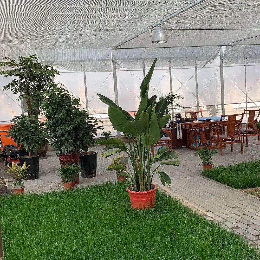 农益辉温室工程