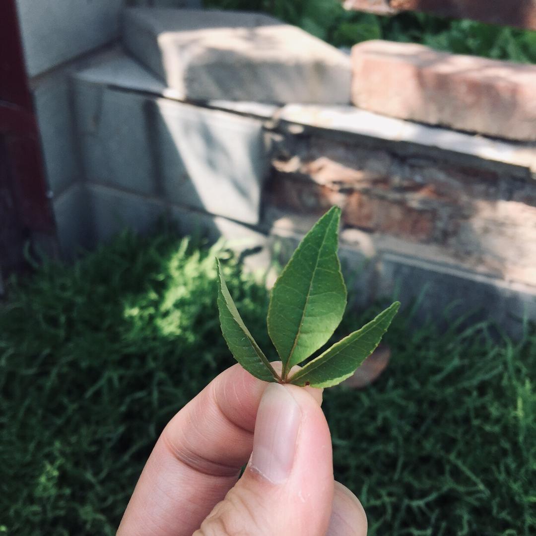 有胃青年 地摊摊火锅
