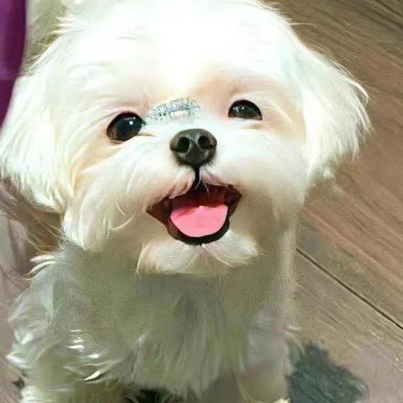 大紫