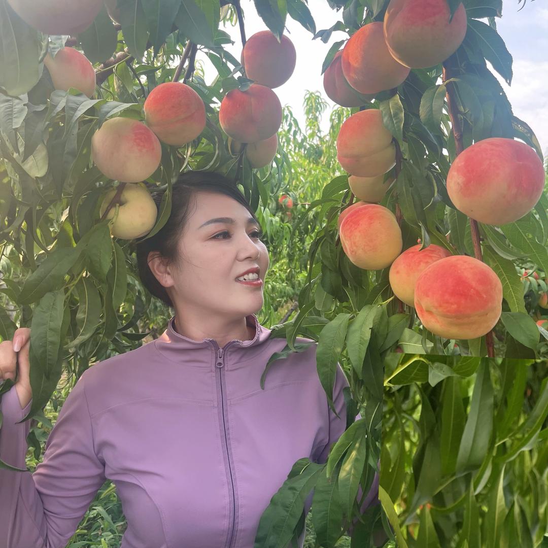 新农人婵婵