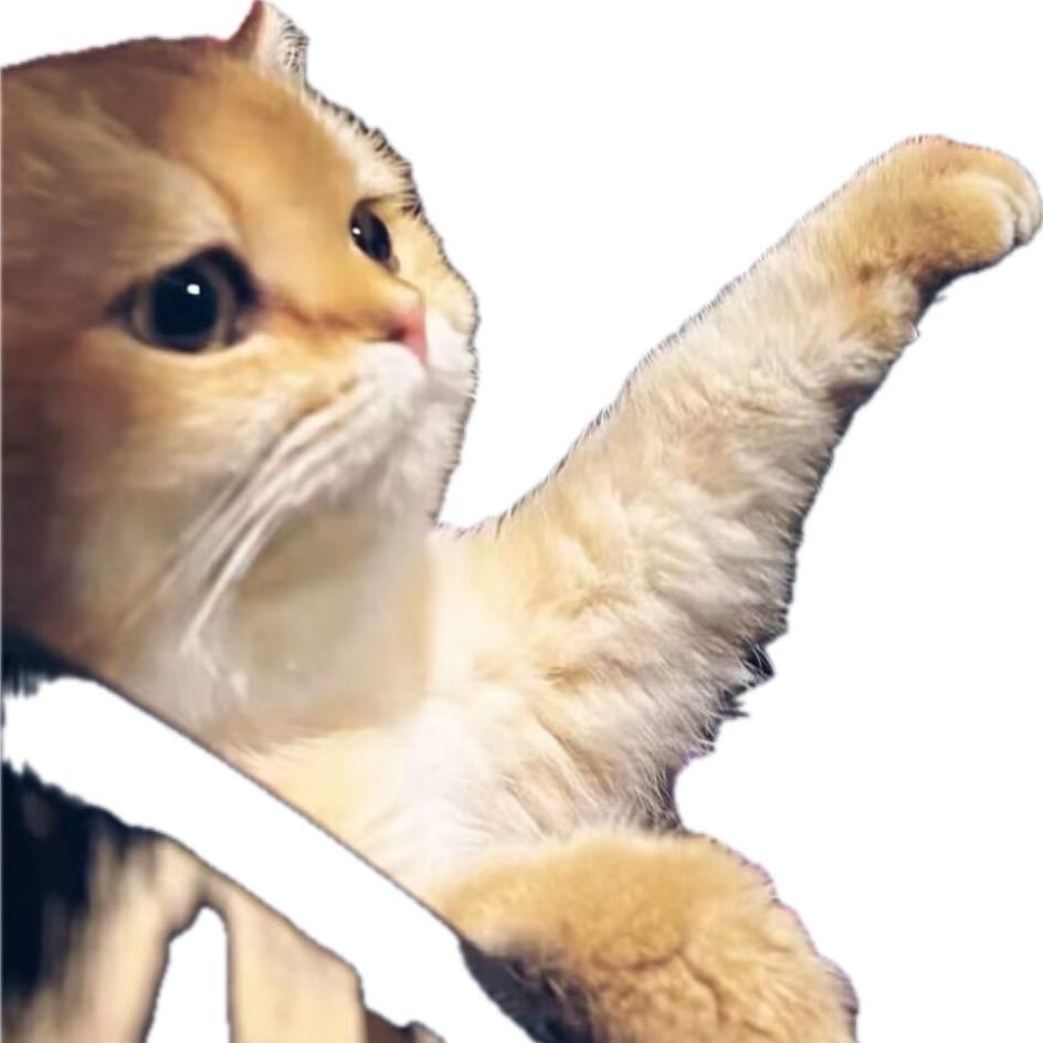 匠匠啊