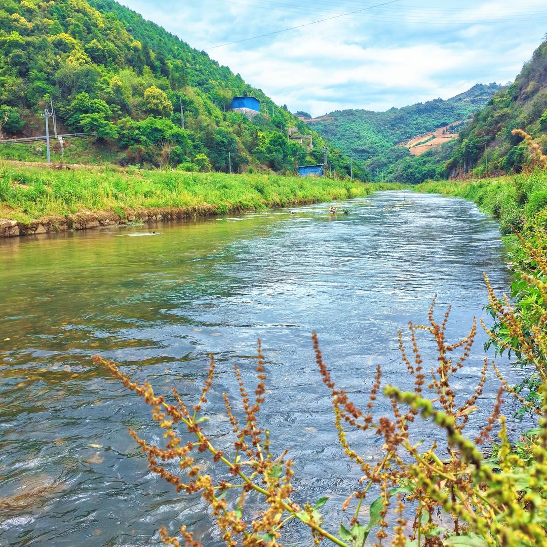 可可妈妈(采姐)