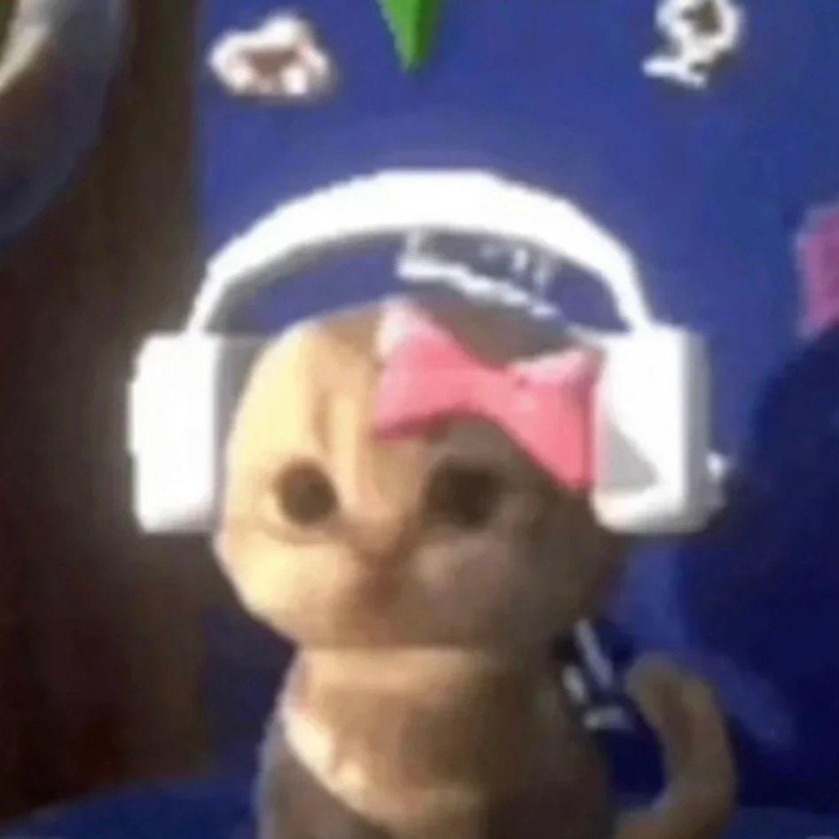 ook