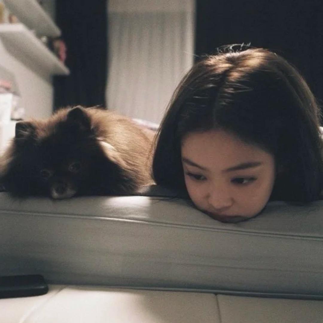 凌晨一点的猫🐱