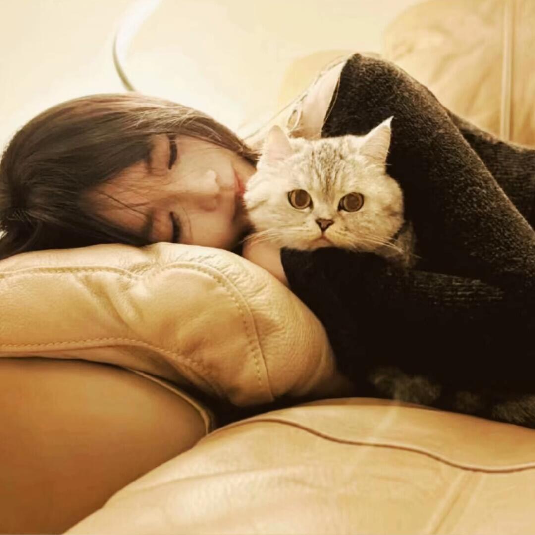 -旋转小木马🎄