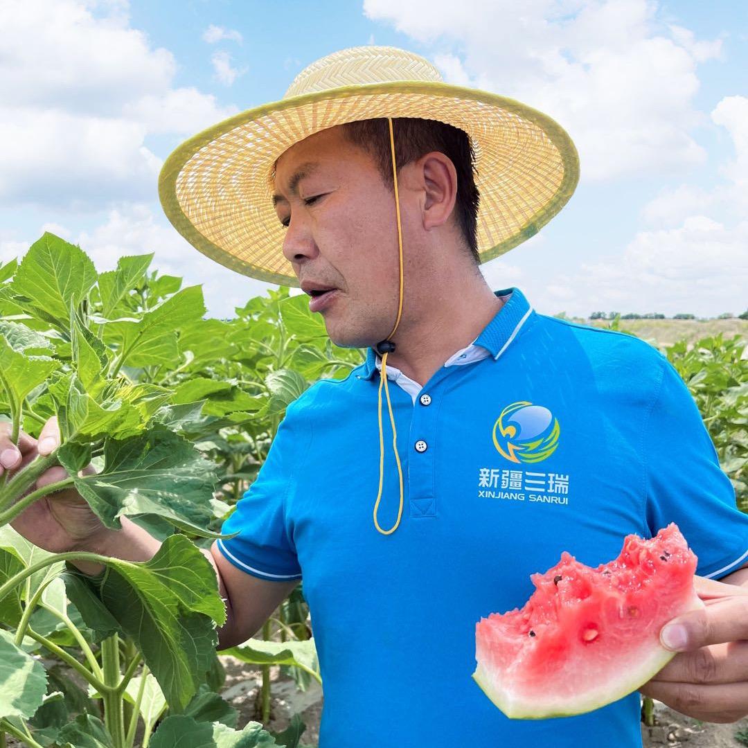 新疆丰向标（张老师）