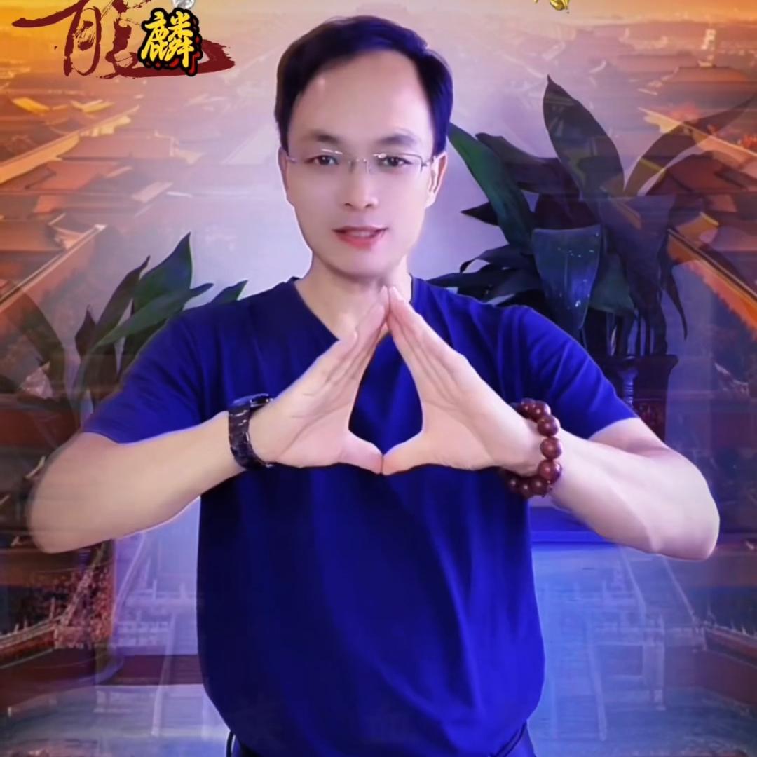 龙哥-手势舞