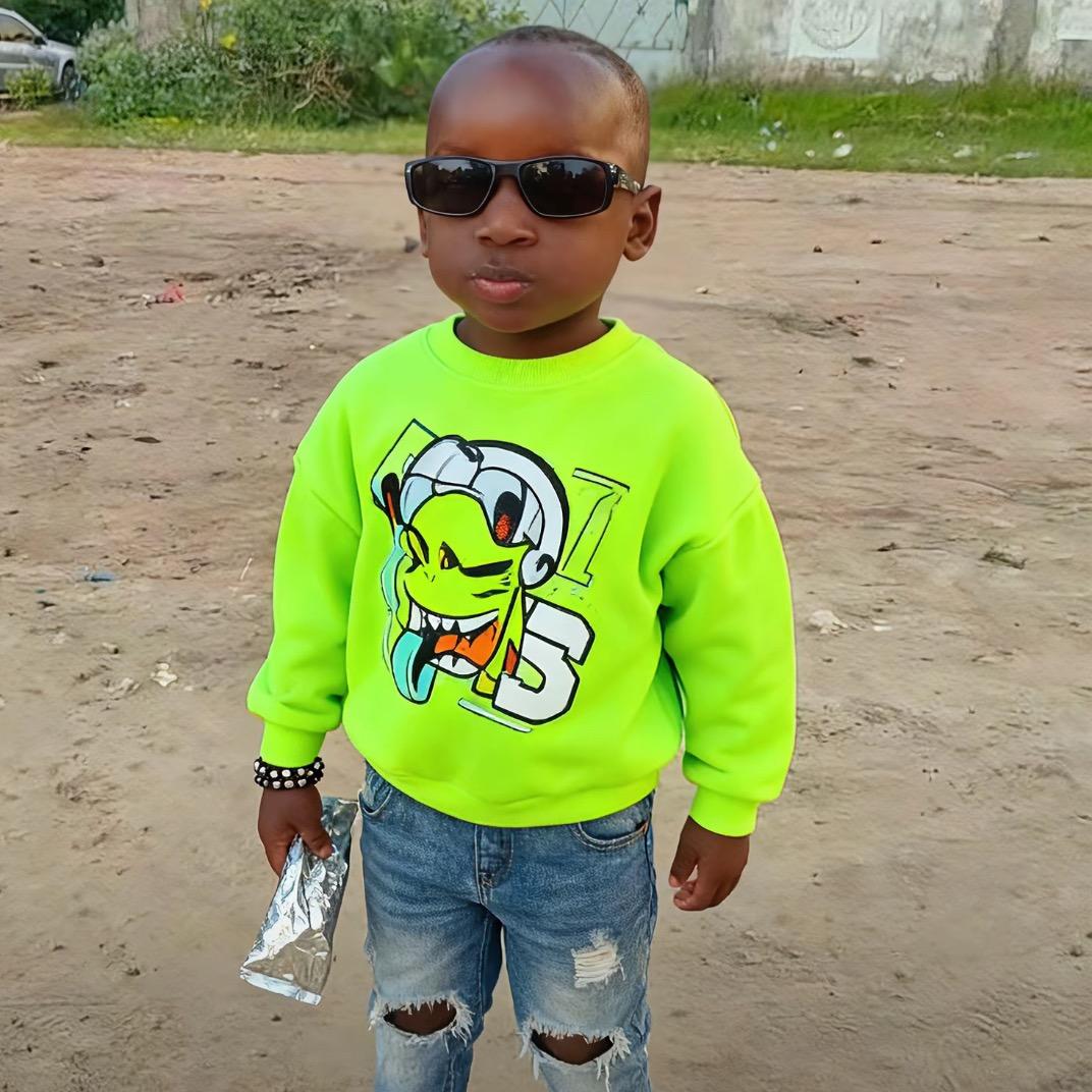 一头爱做梦的猪