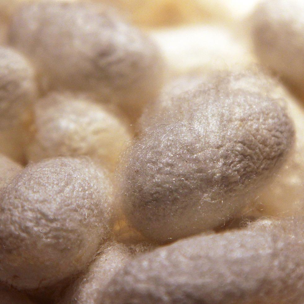 ClassicTouch纺织优品