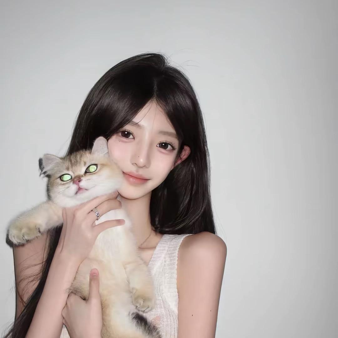 ㅤㅤㅤㅤㅤ ㅤㅤㅤㅤ