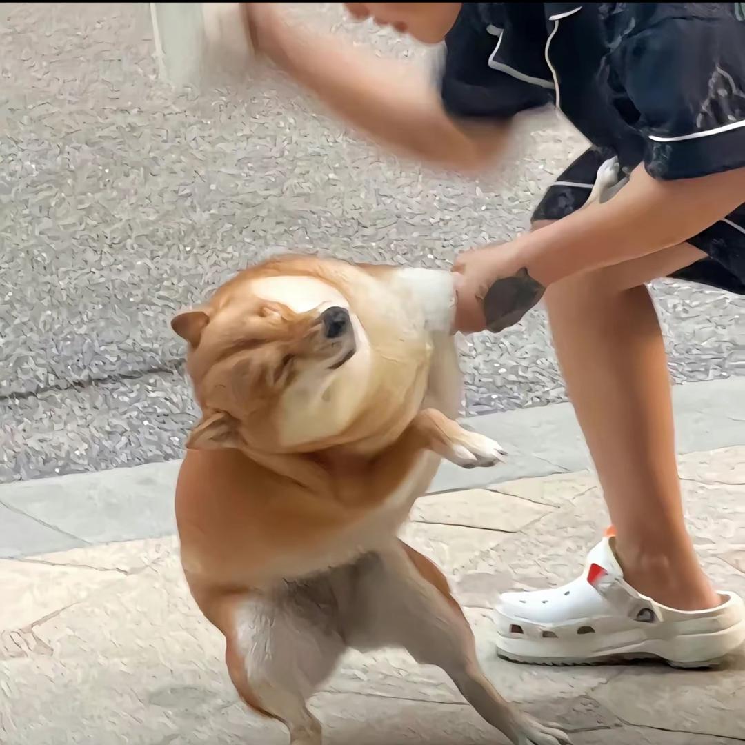 条嘢太狼