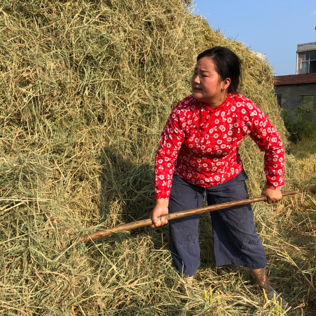 乡味大妹（包包土特产）
