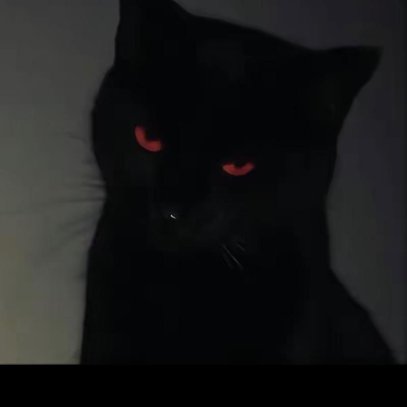 人人都要讲文明