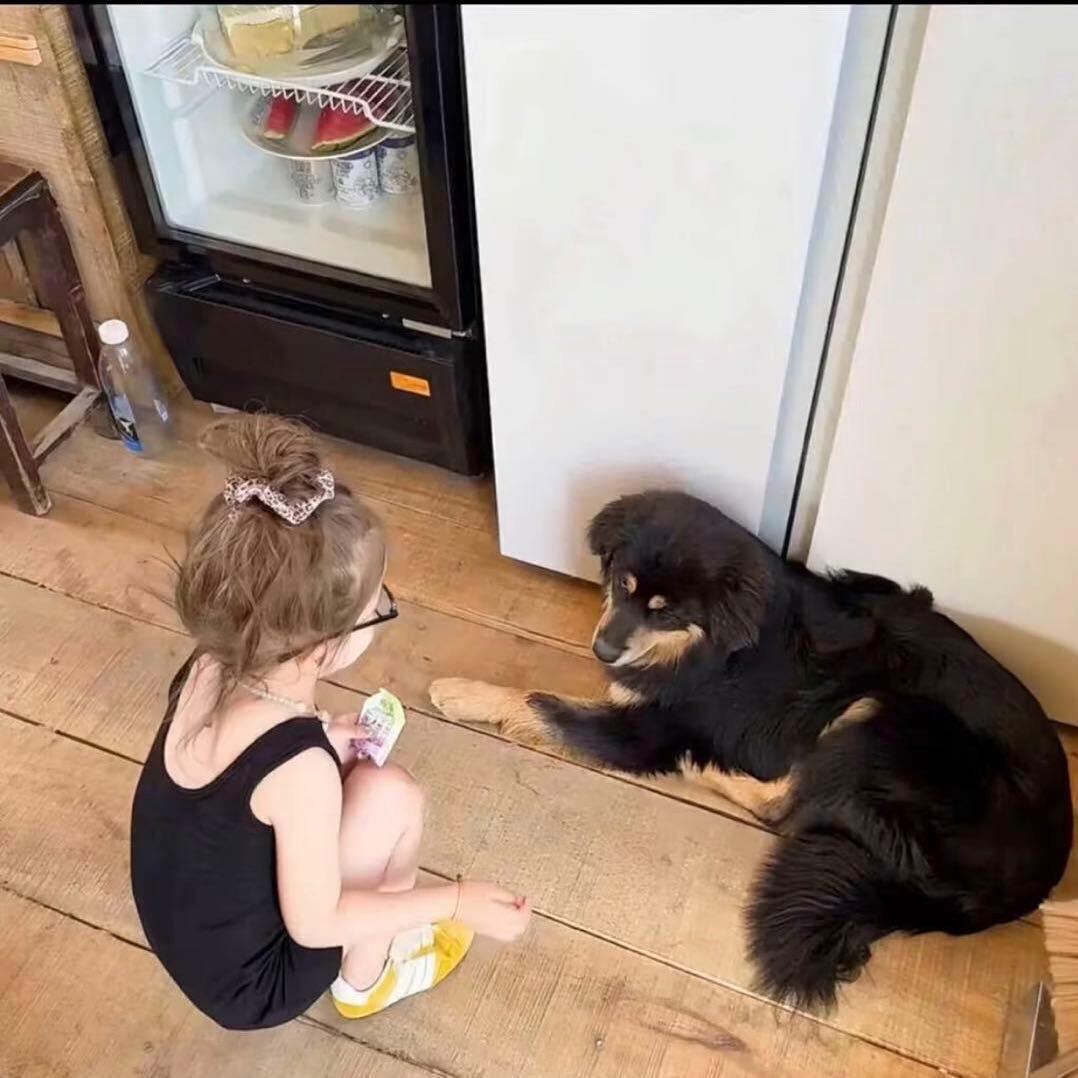 骗自己说没关系