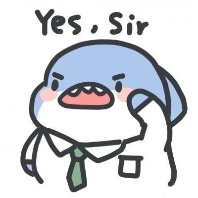 胖鲨代售（月乐熊）