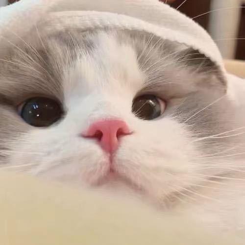 北艾