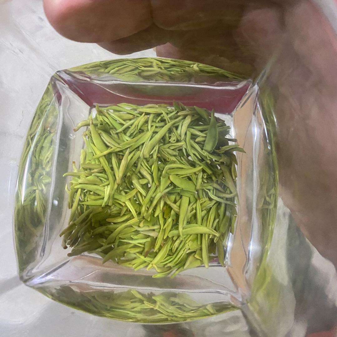 狗牯脑茶的那点事
