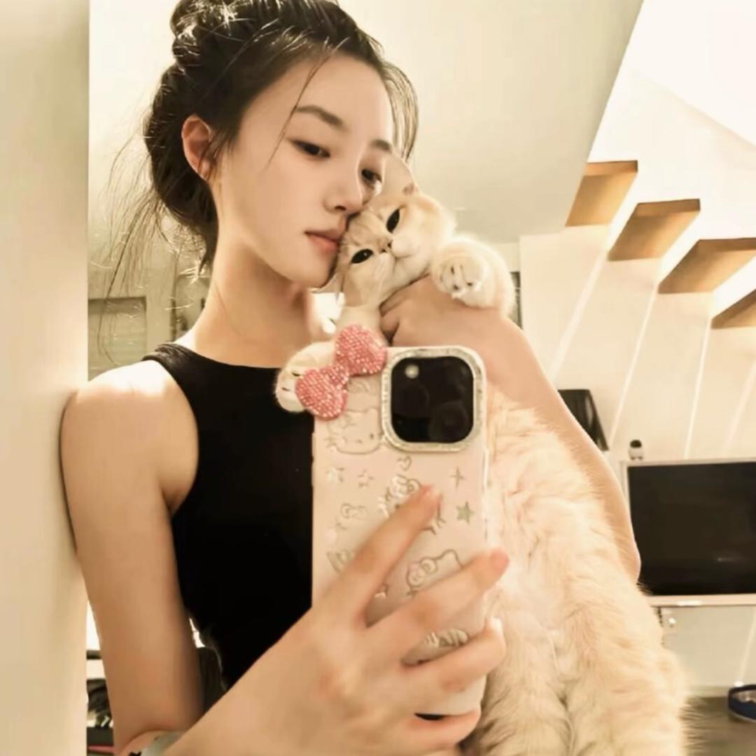 相逢总在梦境里